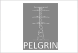 PELGRIN (PROTECTION OF ELECTRICAL GRID INFRASTRUCTURES)