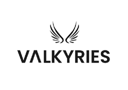 VALKYRIES: Harmonization and Pre-Standardization of Equipment, Training and Tactical Coordinated procedures for First Aid Vehicles deployment on European multi-victim Disasters.