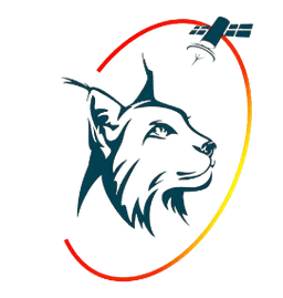 LINCE: Línea de INdustrialización de Cargas de pago y plataformas Espaciales