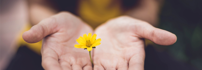 Indra lanza una campaña solidaria frente al covid-19 entre sus profesionales e igualará el dinero recaudado