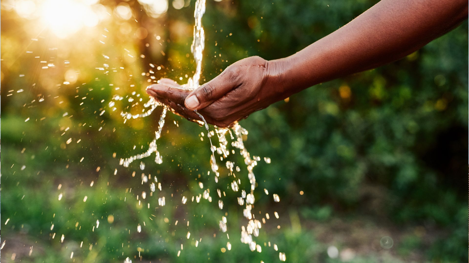 El 67% del sector del agua ya utiliza la IA para reducir fugas y optimizar infraestructuras