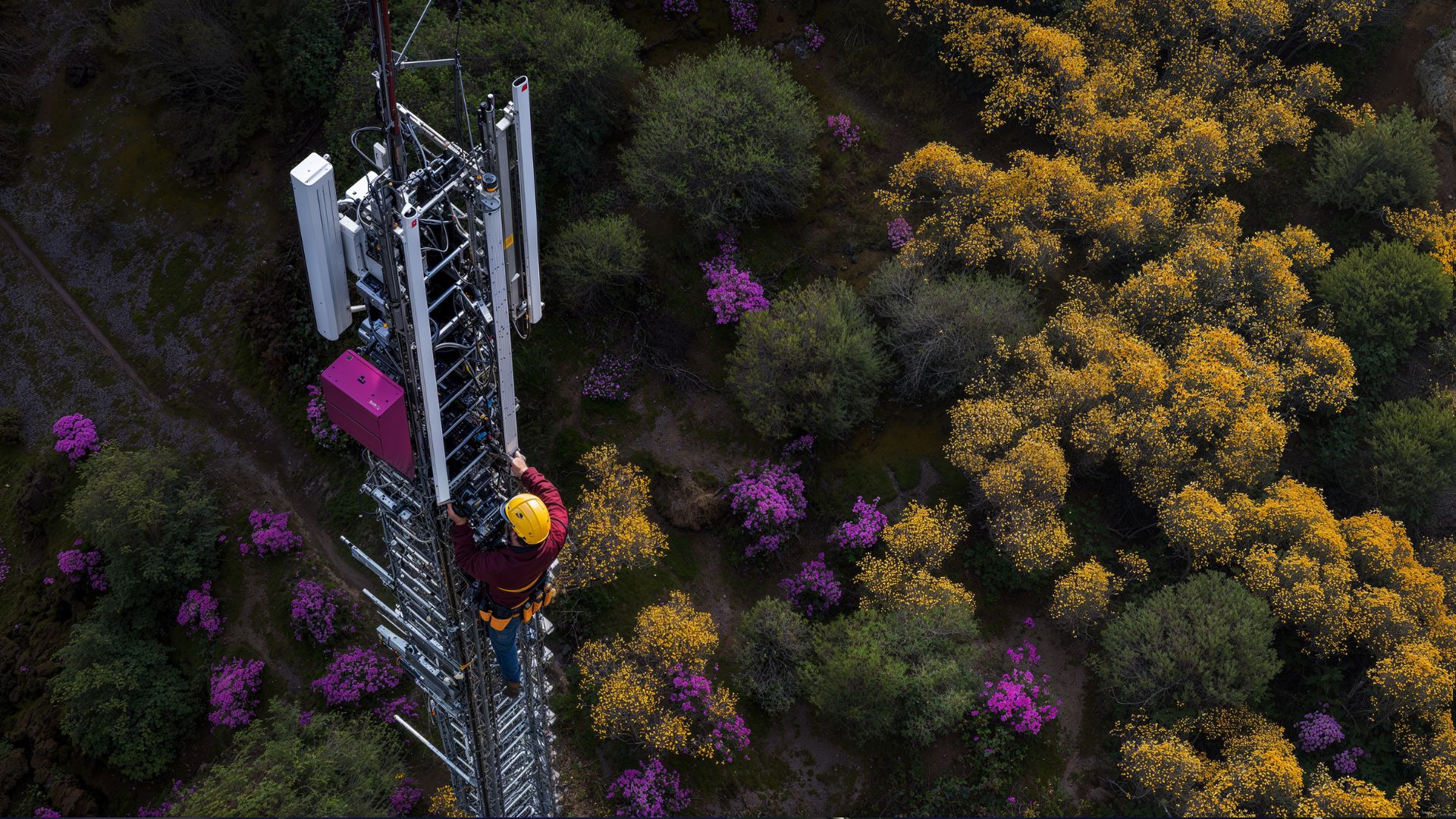 Nae publica el informe sobre el sector de las telecomunicaciones en España Q2-2025 #BarómetroTelco